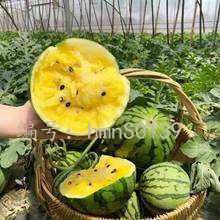 Ļ