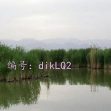ĺ֮